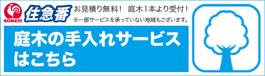 庭木の手入れサービスはこちら