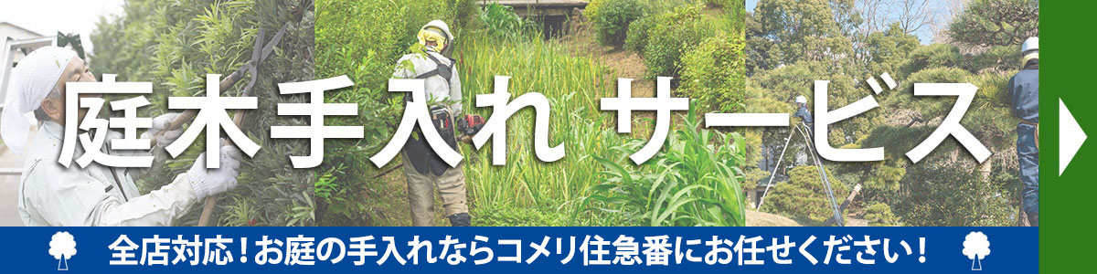 庭木の手入れサービスはこちら