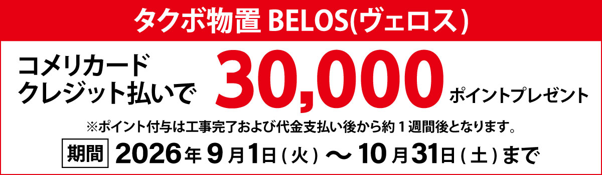 30000ポイント