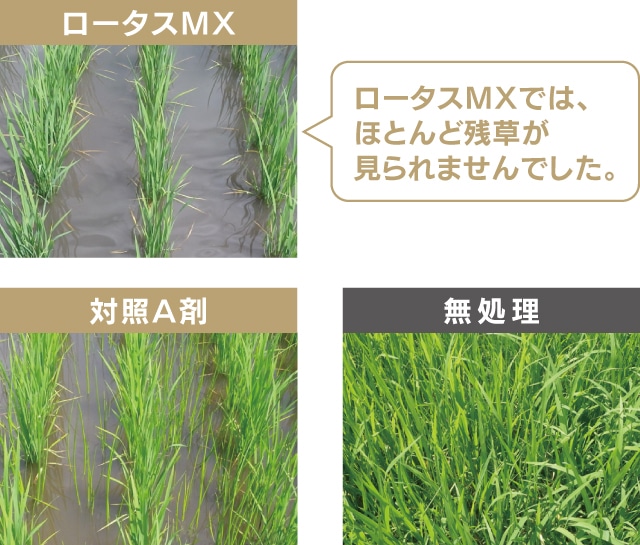 水稲用除草剤 ロータスＭＸ １キロ粒剤 ４ｋｇ の通販 ホームセンター コメリドットコム