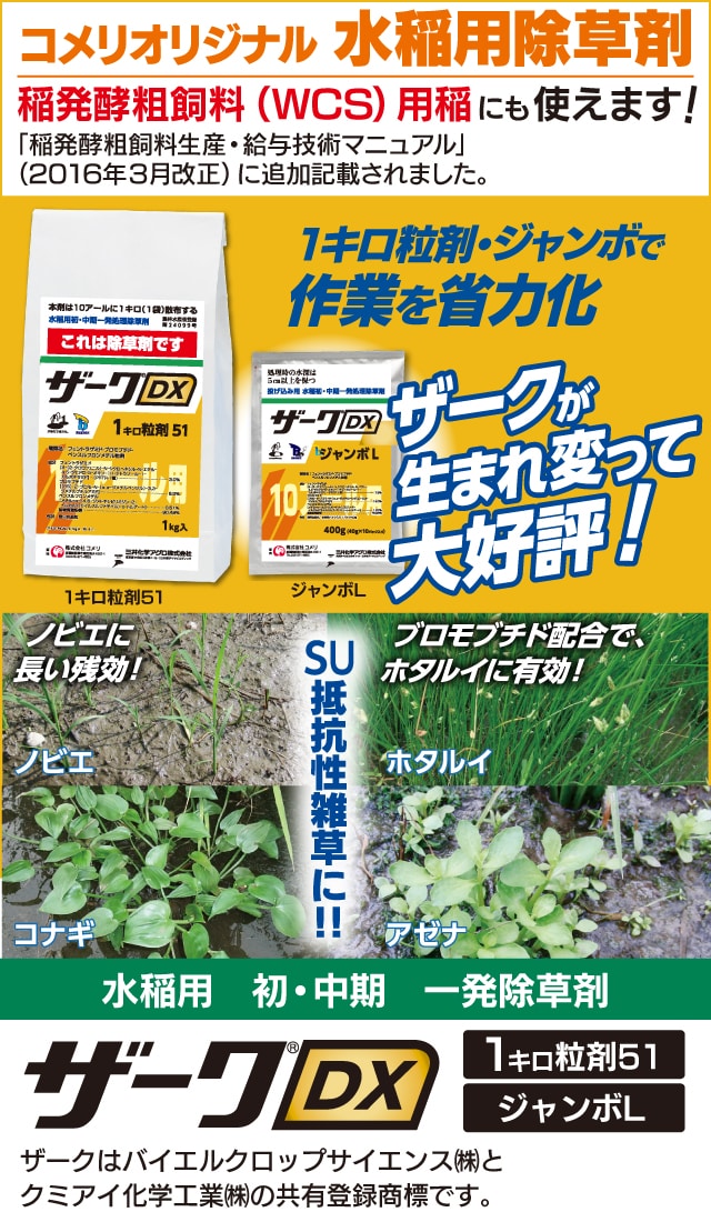 水稲用初・中期一発処理除草剤 ザークＤＸ１キロ粒剤５１ １ｋｇの通販
