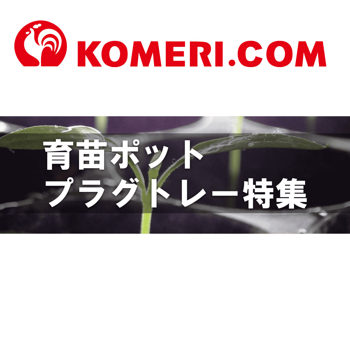 価格応談可　144穴　野菜プラグポット 価格応談可144穴野菜プラグポット