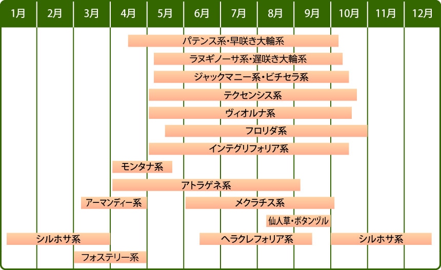 年間開花カレンダー