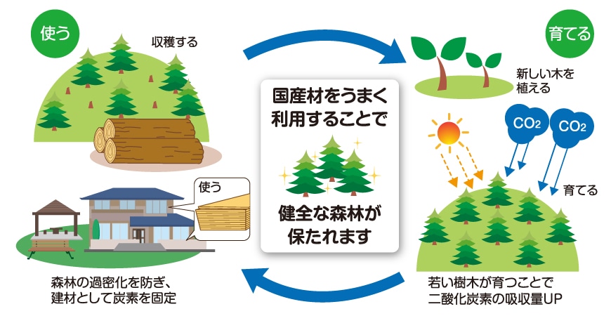 森林の保全