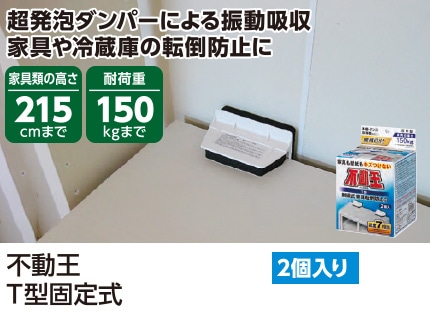 不動王T型固定式