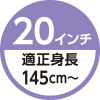 20インチ