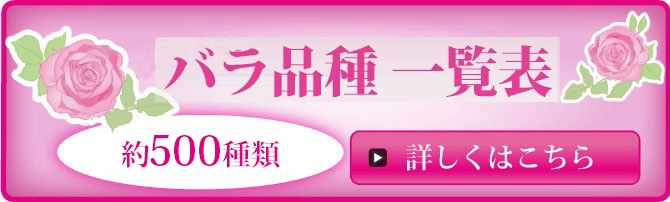 バラ品種一覧表