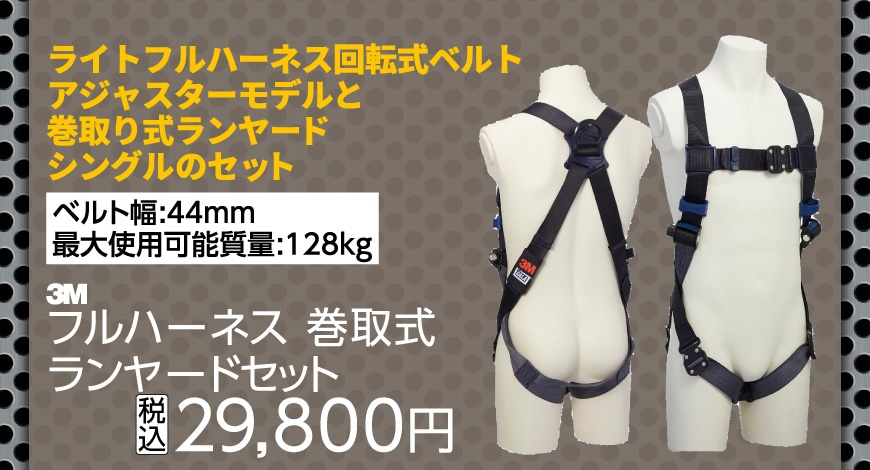 �t���n�[�l�X�@���掮�������[�h�Z�b�g�@�O�W�P�m