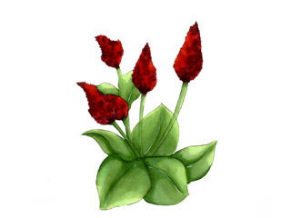 ストロベリーキャンドル