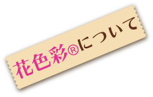花彩色について