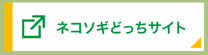 ネコソギどっちサイト