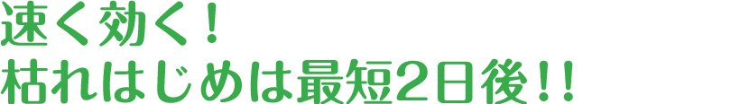 速く効く！枯れはじめは2日後！！