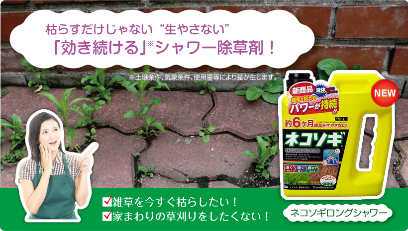 枯らすだけじゃない“生やさない”「効き続ける」シャワー除草剤！