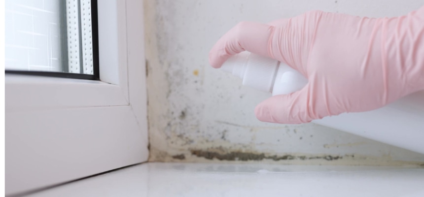 水周りのカビ取り