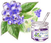 ブルーベリージャム