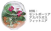ガラスの容器で空間を演出