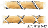 針金による整姿