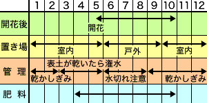 作業年間カレンダー