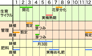 年間作業スケジュール