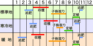 作業カレンダー