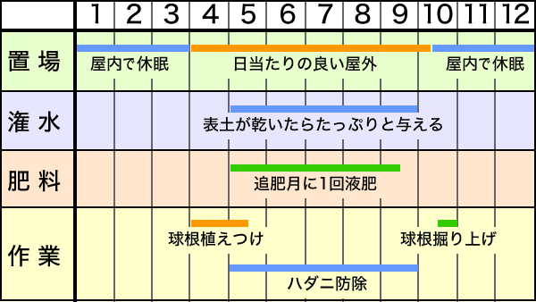 年間作業スケジュール