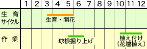 作業カレンダー