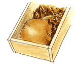巣箱にうずくまる