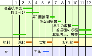 作業カレンダー