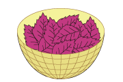 Step 7