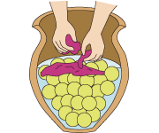 Step 9