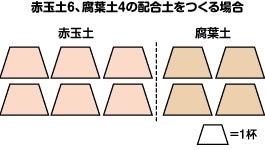 赤玉土6、腐葉土4の配合土をつくる場合