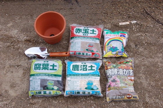 花木の植替え
