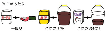 畑の準備