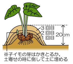 土寄せ