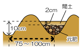 植付け1週間前