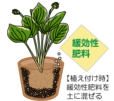 肥料