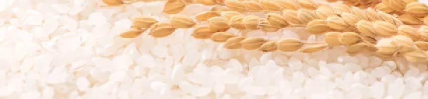 お米の豆知識