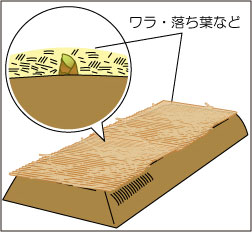 管理