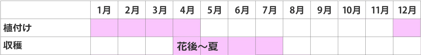 年間管理表