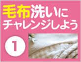 毛布洗いにチャレンジしよう