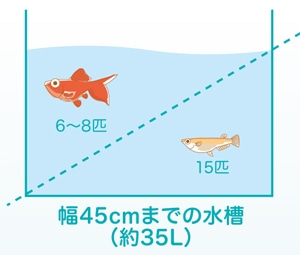 水槽選びのポイント