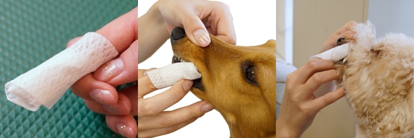 ワンちゃんの爪を切ってみよう