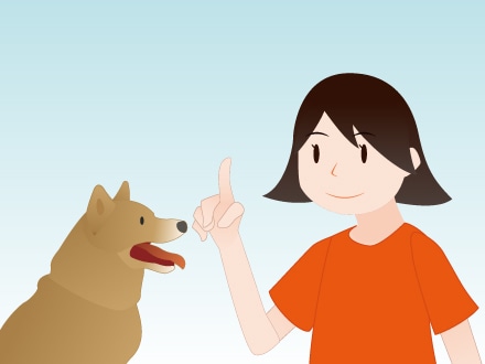 ワンちゃんをしつけるコツ