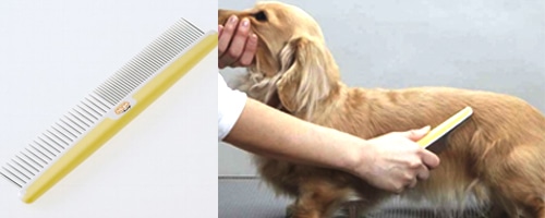 ワンちゃんのブラッシング