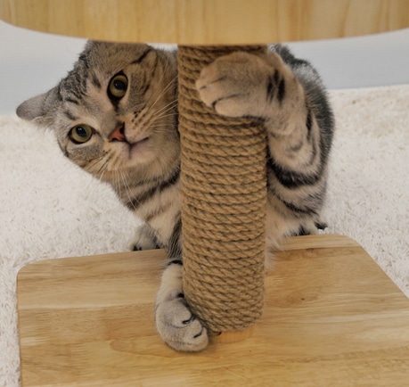 爪とぎの種類 麻ひもタイプ