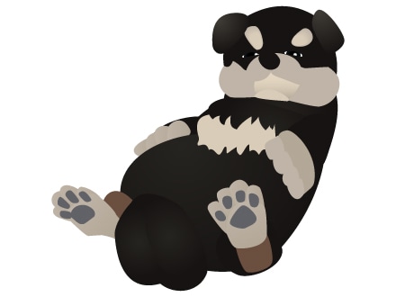 肥満体型について