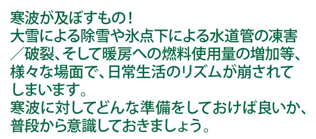 寒波が及ぼすもの