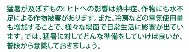 猛暑が及ぼすもの