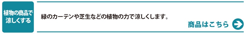 「植物の商品で 涼しくする