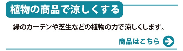 「植物の商品で 涼しくする